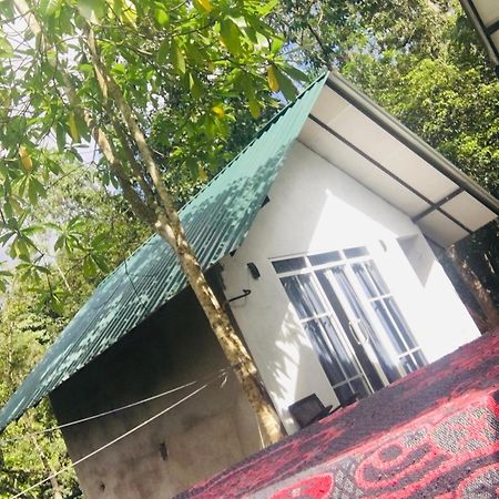 Little Wood Villa And Retreats Doluwa Kandy Eksteriør billede