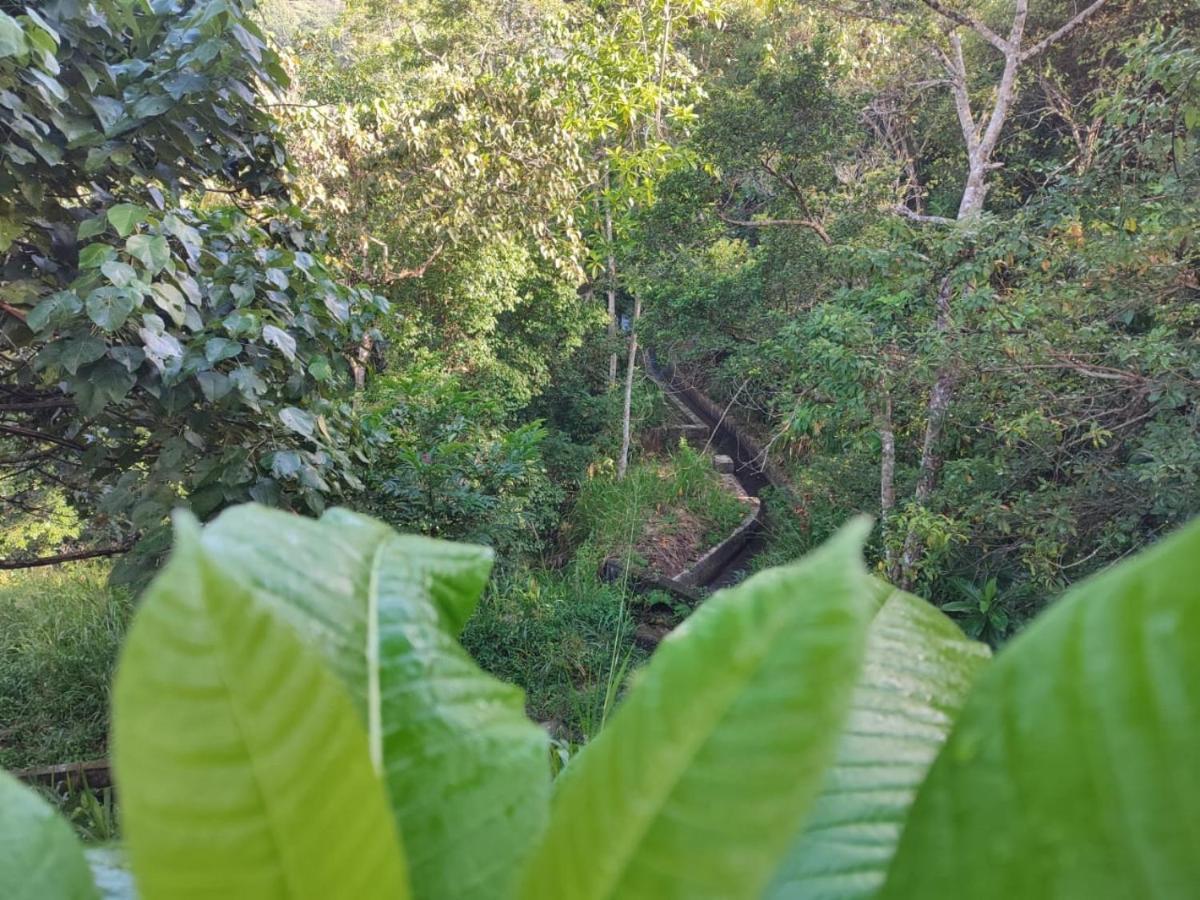 Little Wood Villa And Retreats Doluwa Kandy Eksteriør billede