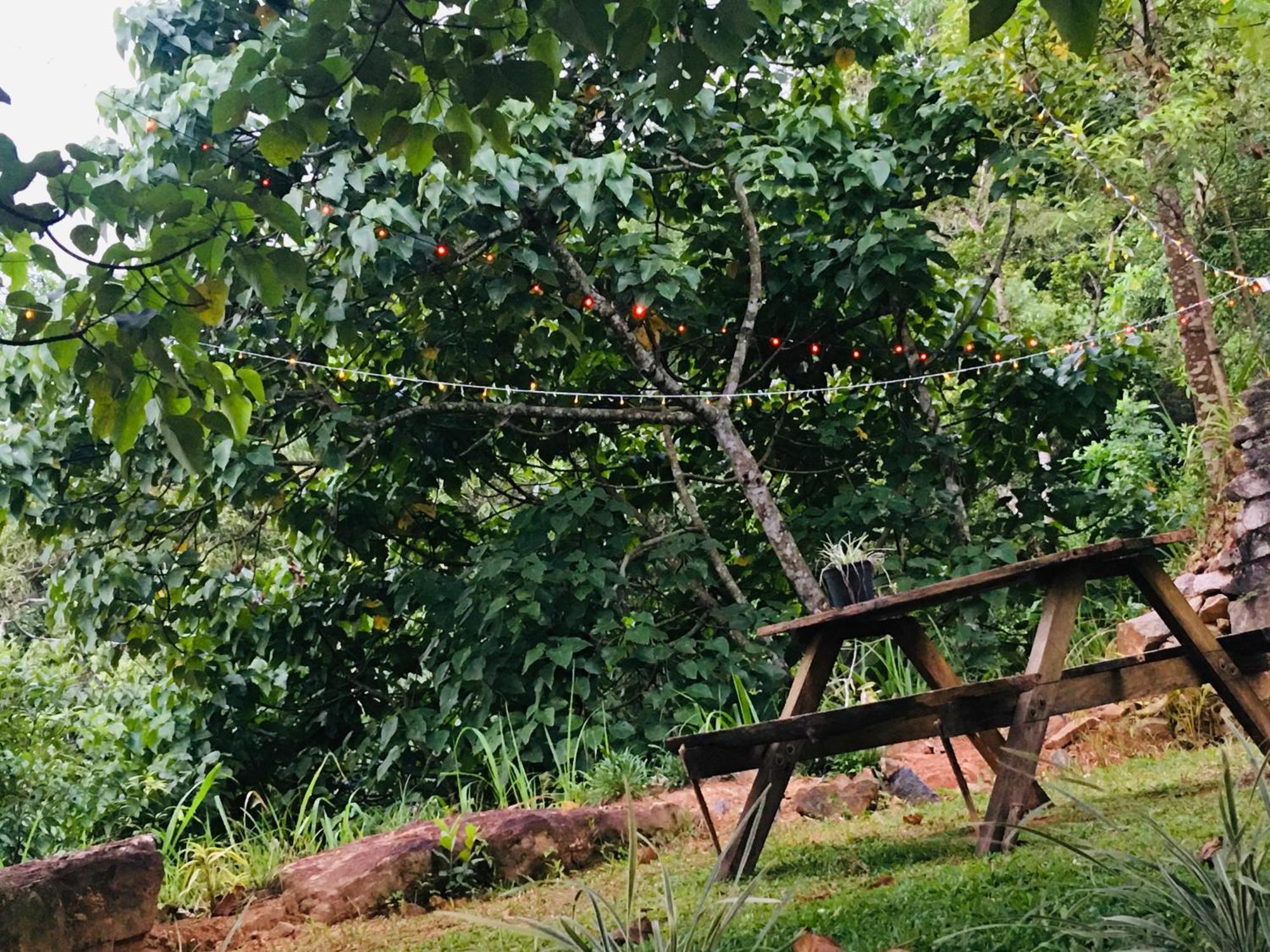 Little Wood Villa And Retreats Doluwa Kandy Eksteriør billede